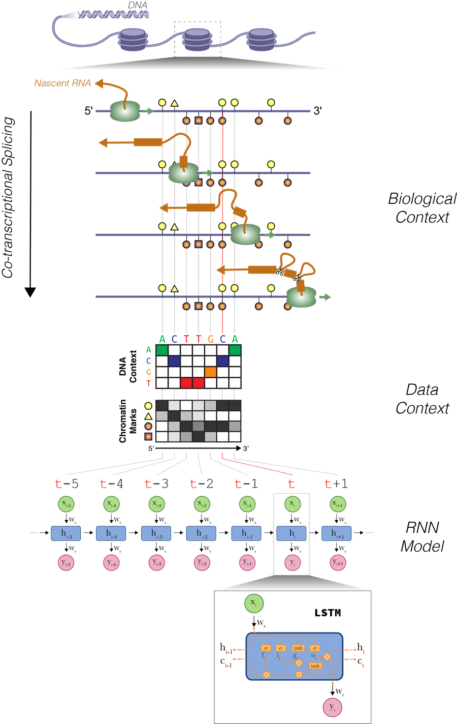 ESPRNN framework for epigenome-based splicing prediction