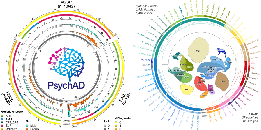 PsychAD atlas showing donor characteristics and 65 brain cell subtypes